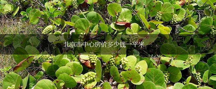 北京市中心房价多少钱一平米,第1张