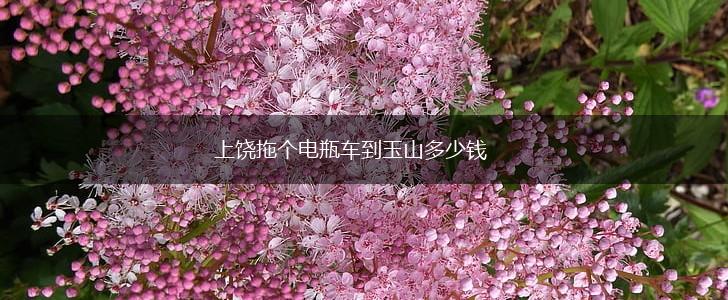 上饶拖个电瓶车到玉山多少钱,第1张