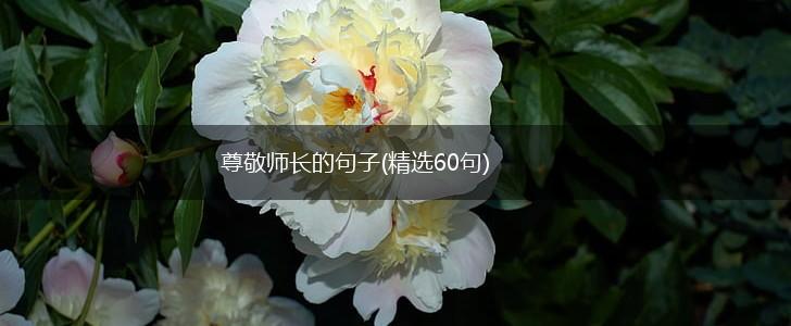 尊敬师长的句子(精选60句),第1张
