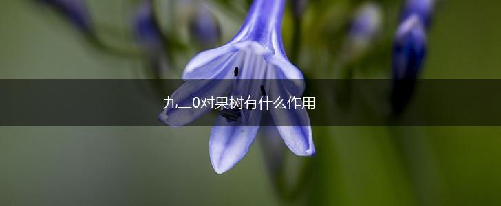 九二0对果树有什么作用,第1张