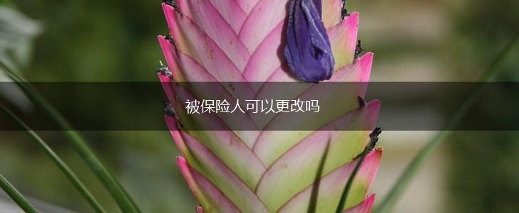 被保险人可以更改吗,第1张