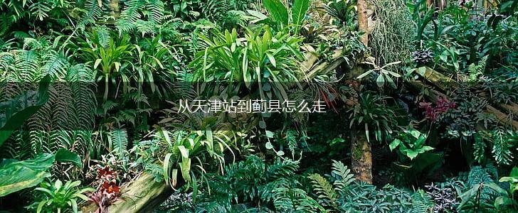 从天津站到蓟县怎么走,第1张