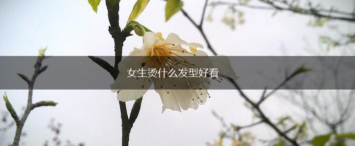 女生烫什么发型好看,第1张