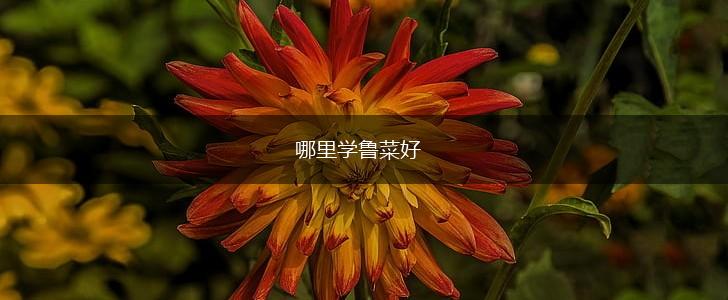 哪里学鲁菜好,第1张