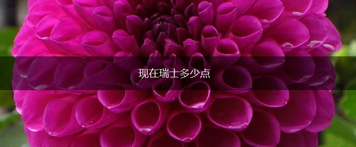 现在瑞士多少点,第1张