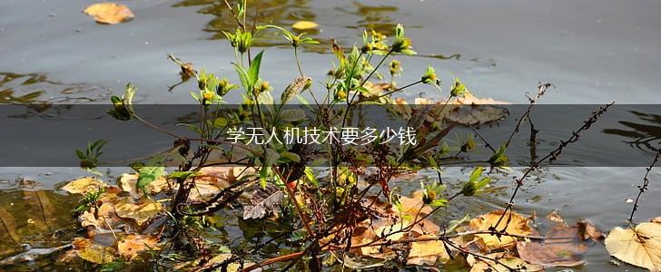 学无人机技术要多少钱,第1张