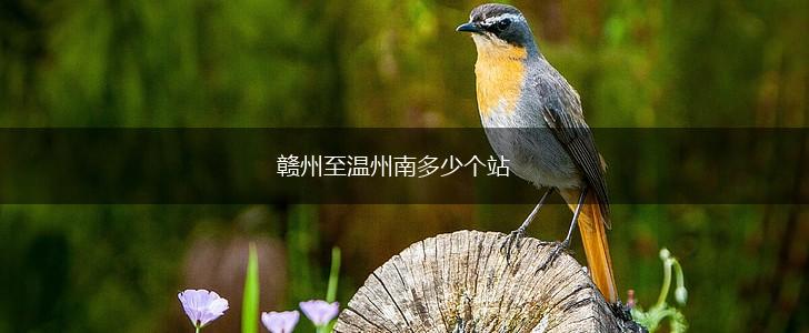 赣州至温州南多少个站,第1张