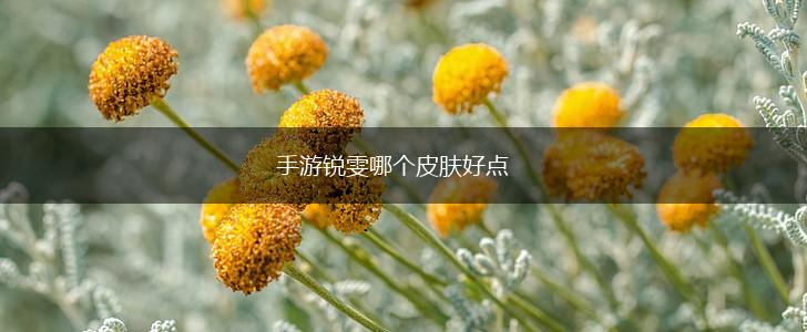 手游锐雯哪个皮肤好点,第1张