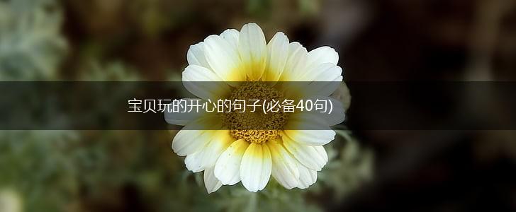 宝贝玩的开心的句子(必备40句),第1张