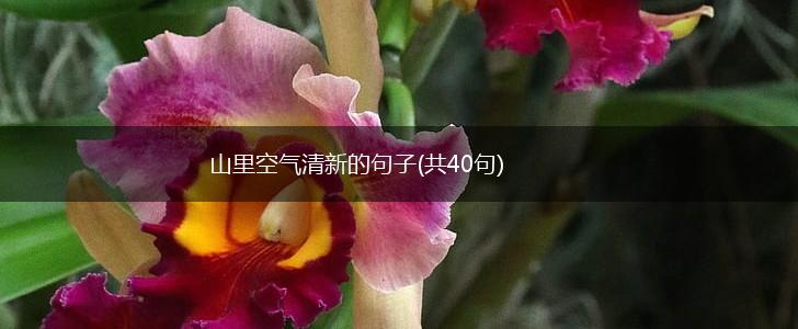 山里空气清新的句子(共40句),第1张