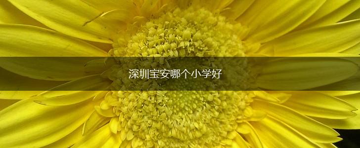 深圳宝安哪个小学好,第1张