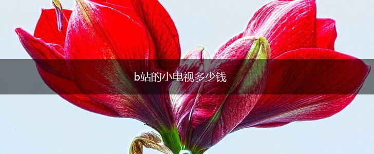 b站的小电视多少钱,第1张