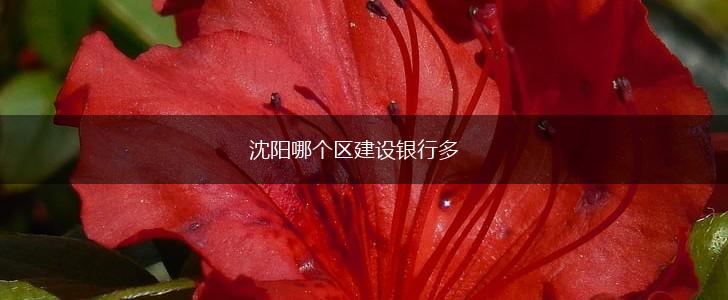 沈阳哪个区建设银行多,第1张
