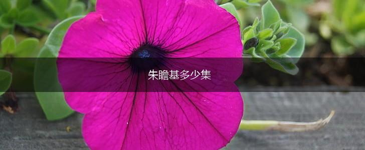 朱瞻基多少集,第1张
