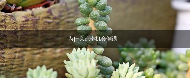 为什么跑步机会倒退,第1张