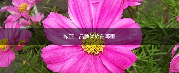 一城画一品牌优势在哪里,第1张