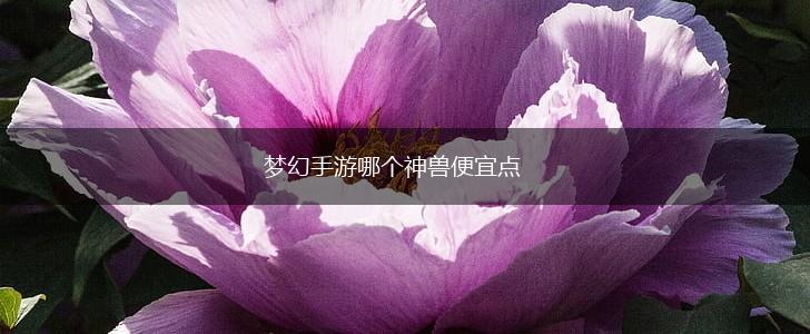梦幻手游哪个神兽便宜点,第1张