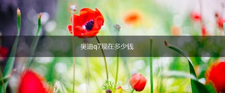 奥迪q7现在多少钱,第1张