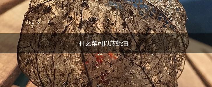 什么菜可以放蚝油,第1张