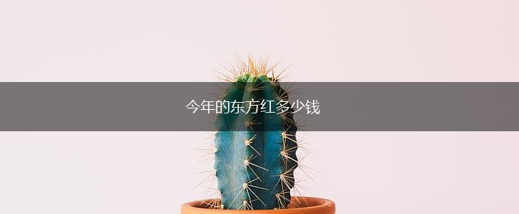 今年的东方红多少钱,第1张