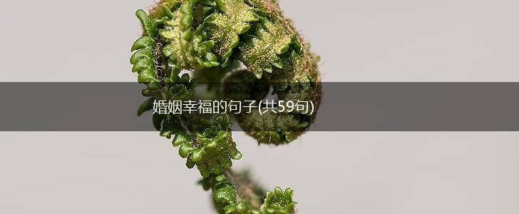 婚姻幸福的句子(共59句),第1张