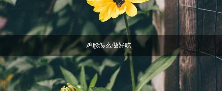 鸡胗怎么做好吃,第1张