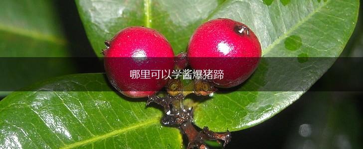 哪里可以学酱爆猪蹄,第1张