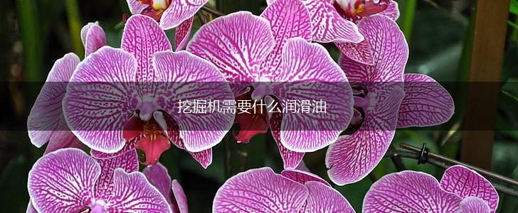 挖掘机需要什么润滑油,第1张