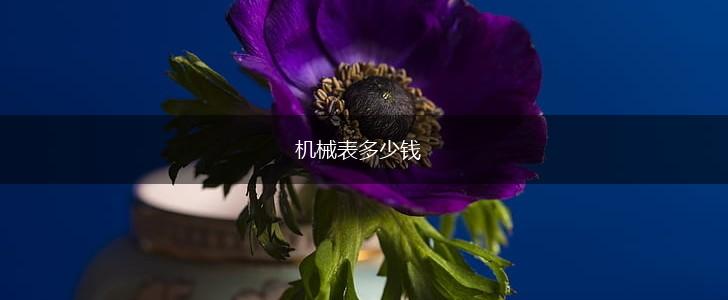 机械表多少钱,第1张