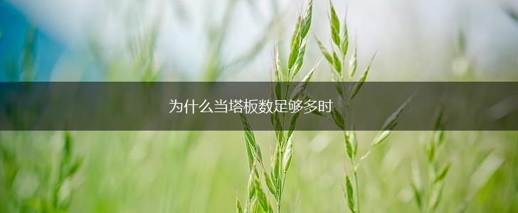 为什么当塔板数足够多时,第1张
