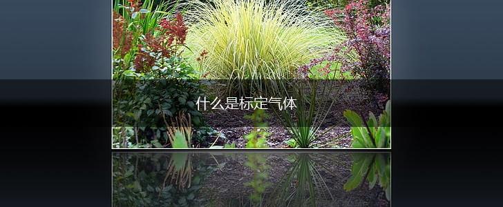 什么是标定气体,第1张