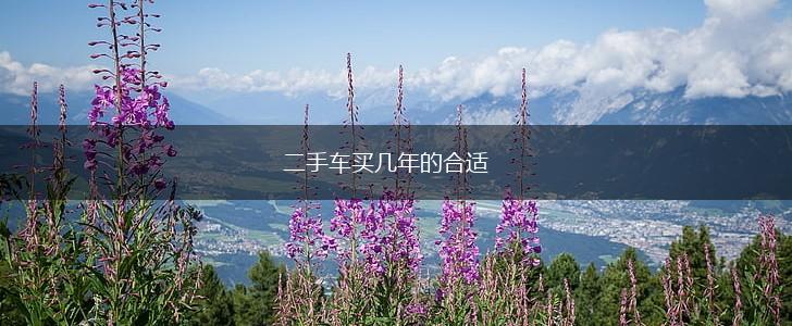 二手车买几年的合适,第1张