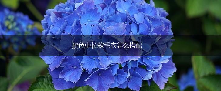 黑色中长款毛衣怎么搭配,第1张