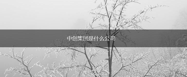 中创集团是什么公司,第1张