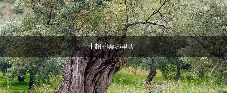 中超的票哪里买,第1张