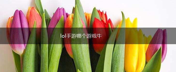 lol手游哪个游戏牛,第1张