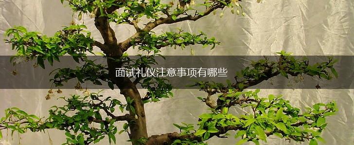 面试礼仪注意事项有哪些,第1张