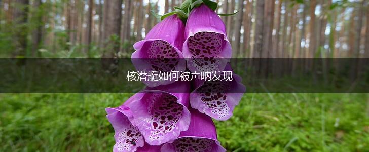 核潜艇如何被声呐发现,第1张