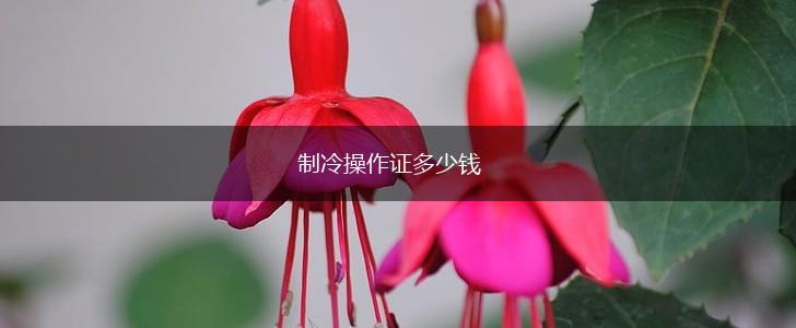 制冷操作证多少钱,第1张