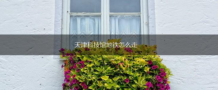天津科技馆地铁怎么走,第1张
