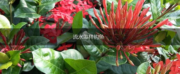 流水怎样钓鱼,第1张