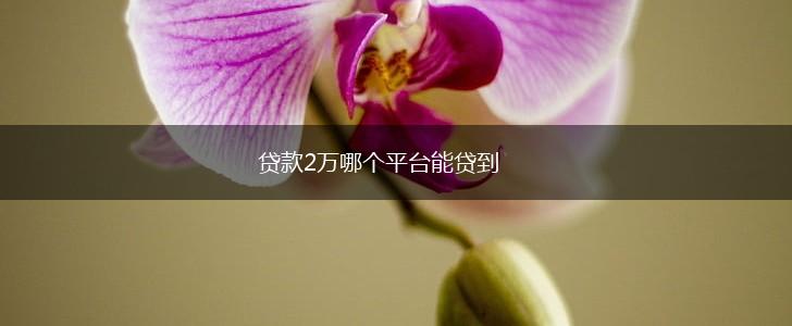 贷款2万哪个平台能贷到,第1张
