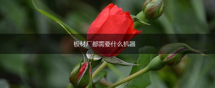 板材厂都需要什么机器,第1张