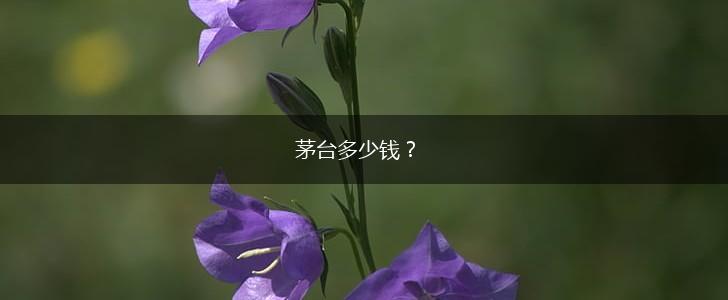 茅台多少钱？,第1张