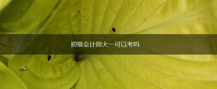 初级会计师大一可以考吗,第1张