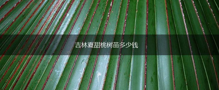 吉林夏甜桃树苗多少钱,第1张