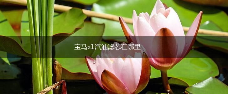 宝马x1汽油滤芯在哪里,第1张