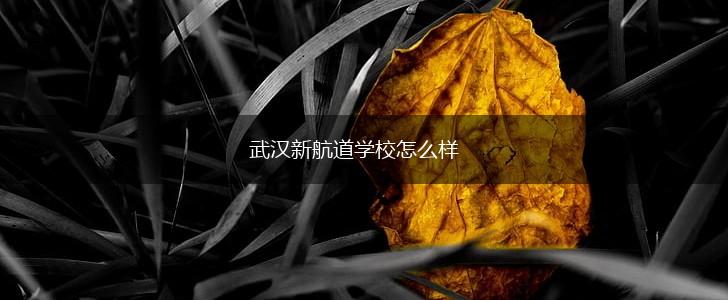 武汉新航道学校怎么样,第1张