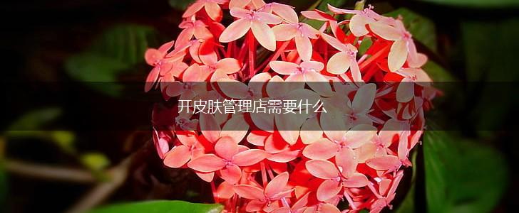 开皮肤管理店需要什么,第1张