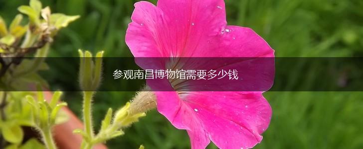 参观南昌博物馆需要多少钱,第1张